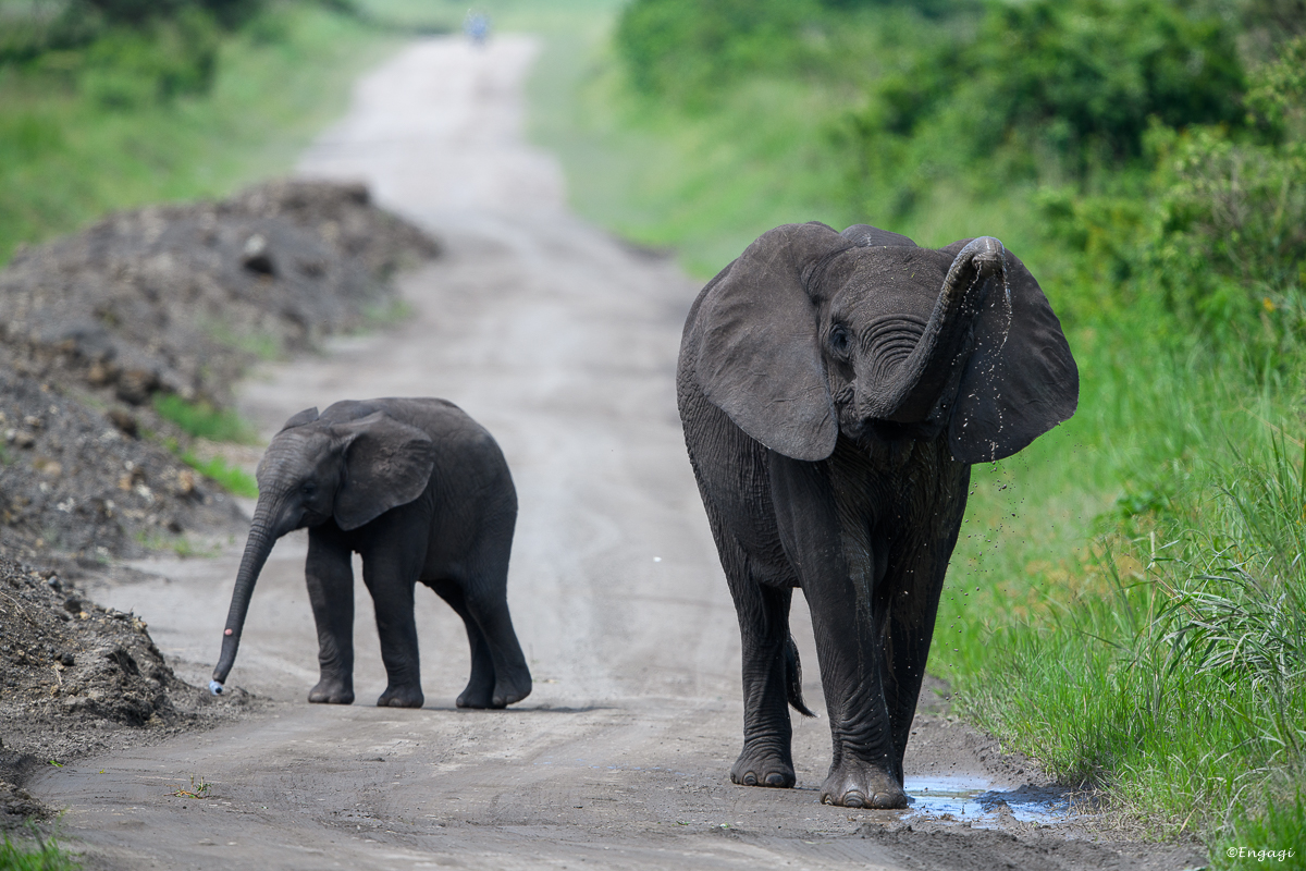 Uganda%200889.jpg