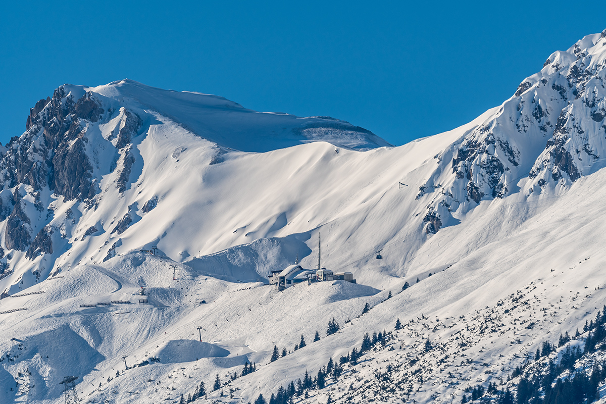 20220205_D500_0326NF.jpg