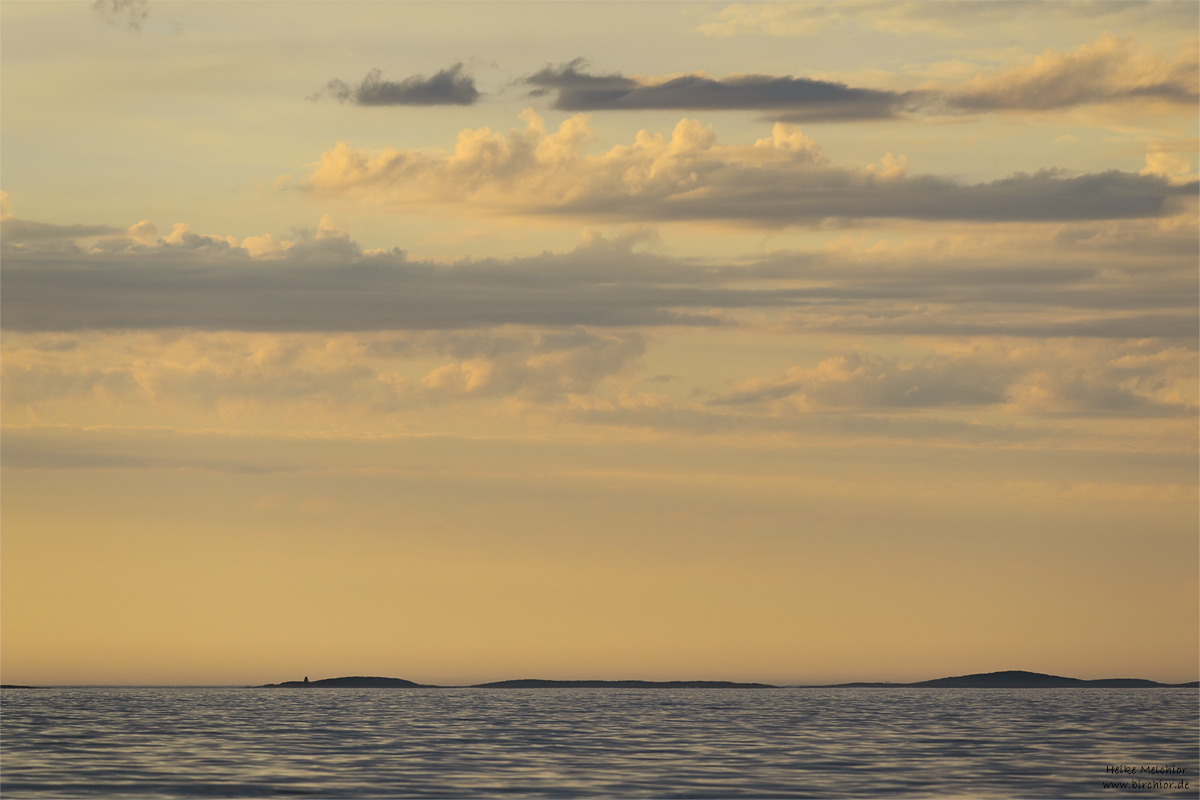 HM49.jpg