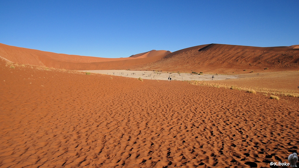 Eine weiße Sandfläche in einer Mulde umgeben von Dünen aus orangefarbenen Sand.