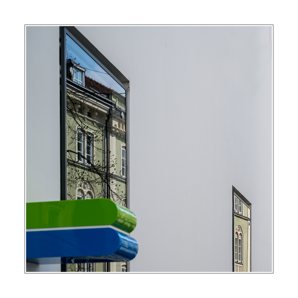 20190415_NZ6_0163qFC.jpg