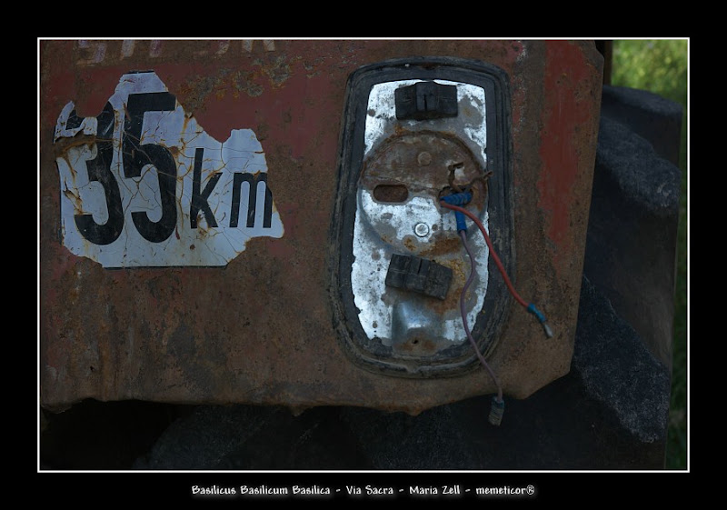 s_DSC_0880.jpg