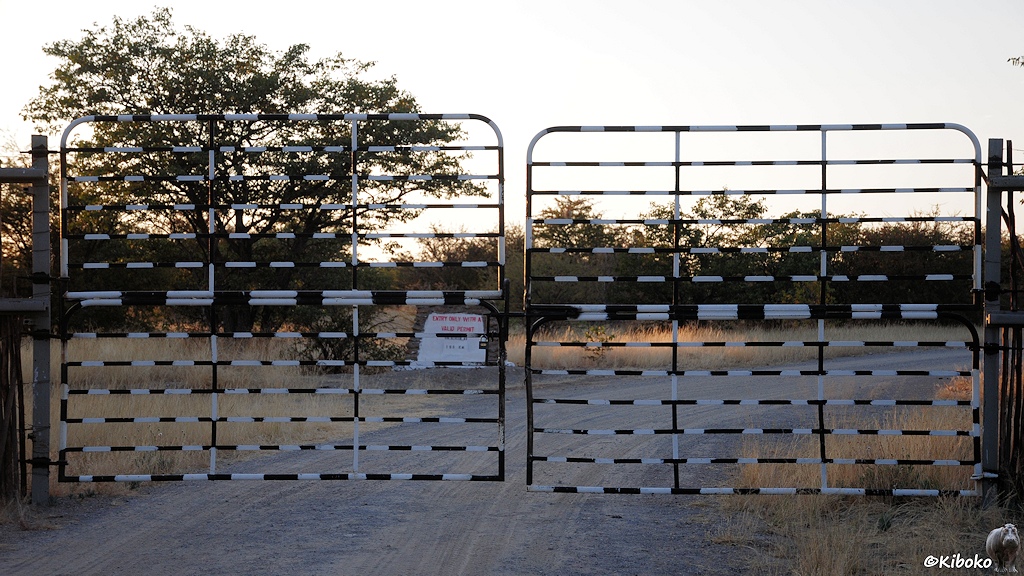Ein zweiflügliges Gittertor mit Zebrastreifenmuster ist geschlossen. Dahinter ist ein Schotterweg.