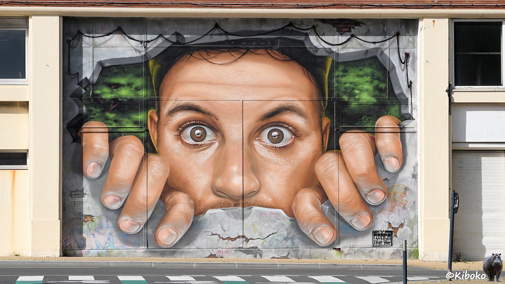 Das Bild zeigt eine Graffiti über zwei Etagen an einer Hauswand. Durch einen gemalten Mauerdruchbruch schaut ein erstauntes Gesicht mit weit aufgerissenen Augen. An den Seiten krallen sich jeweils vier Finger an den Mauerausbruch fest.