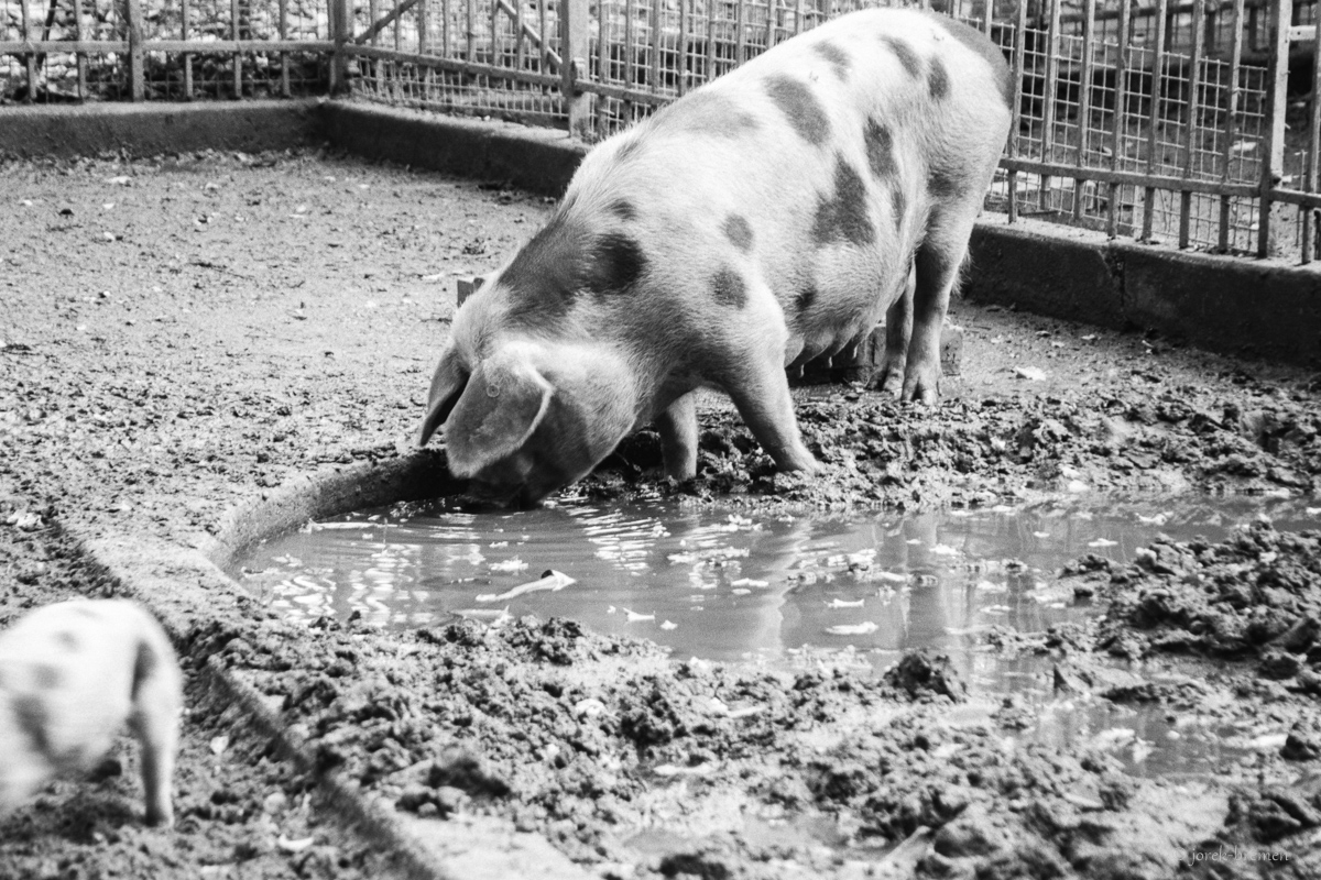 full