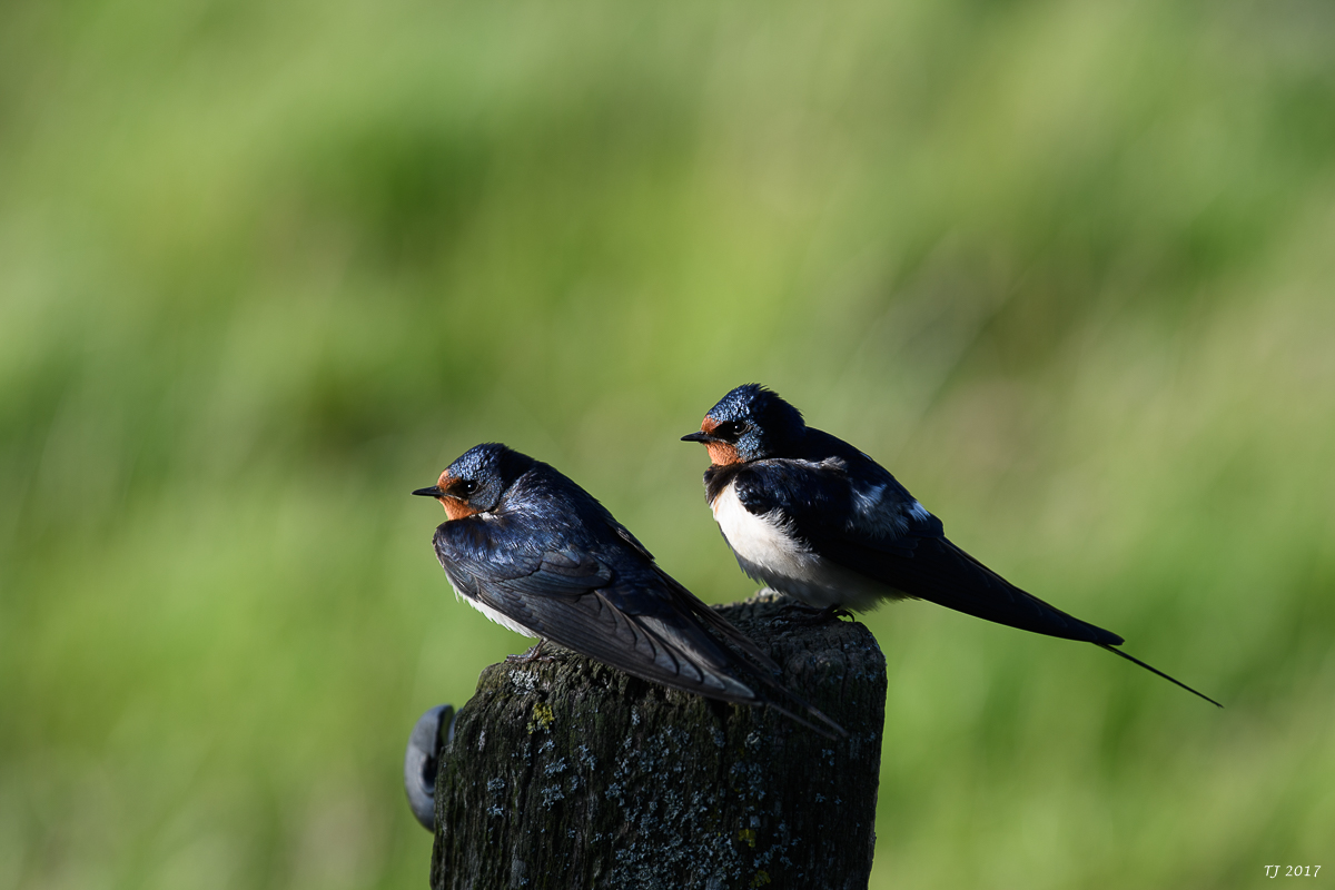 DSC_5752.jpg