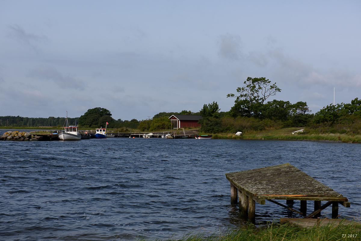 DSC_7804.jpg