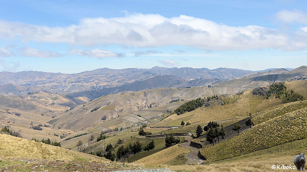 Das Bild zeigt eine Berglandschaft mit kleinen Feldern. In das Bild hinein verläuft ein Tal. An der rechten Talseite schlängelt sich ein Schotterweg am Hang entlang. Vereinzelt stehen kleine Nadelbaumgruppen.