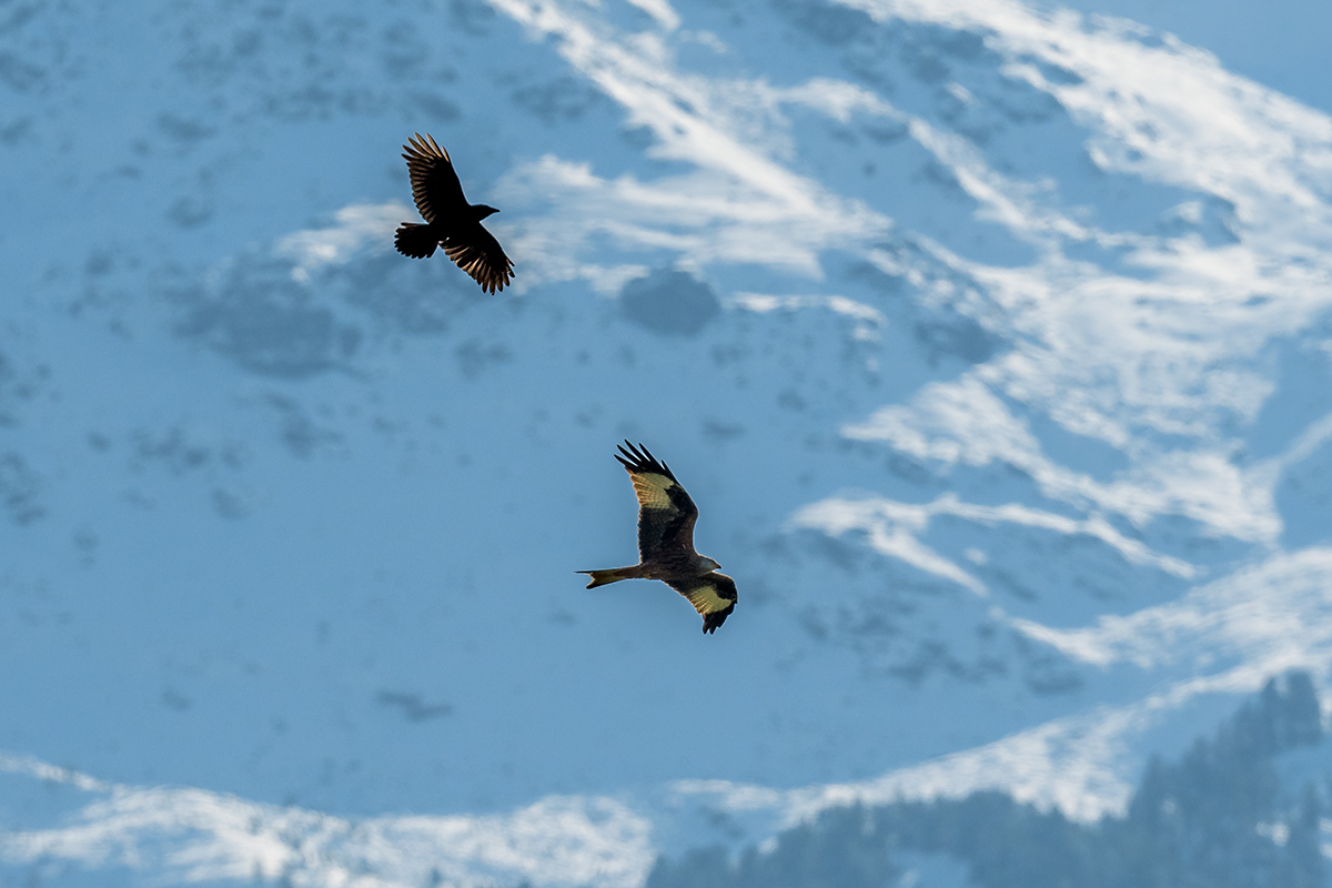 20201019_D500_2108NF.jpg
