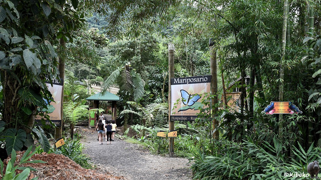 Das Bild zeigt einen Schotterweg zwischen Bäumen. Darauf ist eine kleine Menschengruppe. im Hintergrund ist ein Portal mit einem grünen Dach.