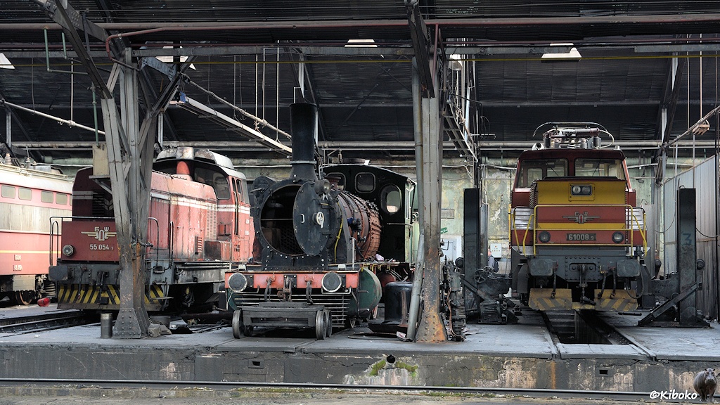 Das Bild zeigt zeigt drei Loks in einer Werkhalle. Links seht eine rote Diesellokomotive mit Mittelführerstand. Es folgt eine Dampflok mit offener Rauchkammertür. Rechts steht eine rot-belbe Elektrolokomotive mit Mittelführerhaus.