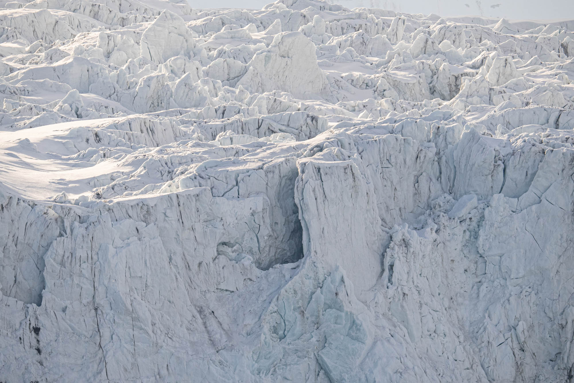 MichaelGinzburg_Arktis150-600mm_Blog-6.jpg