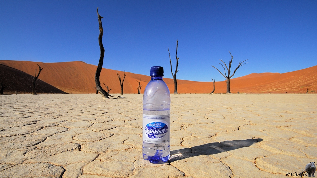 Eine durchsichtige Plastikflasche mit der Aufschrift 
