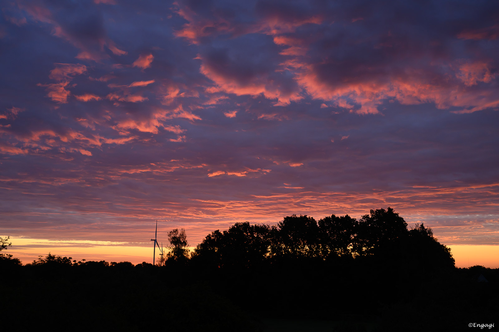 DSC_0239.jpg