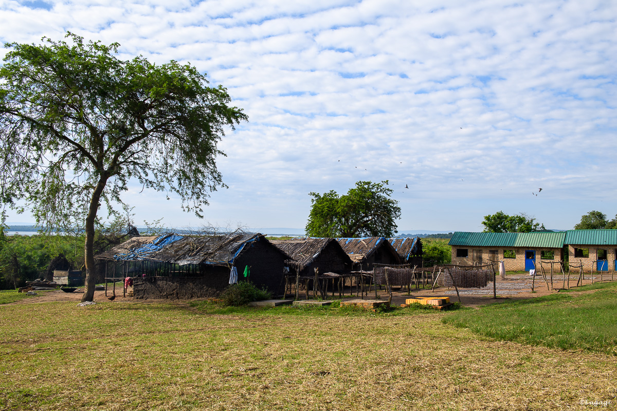 Uganda%202258.jpg