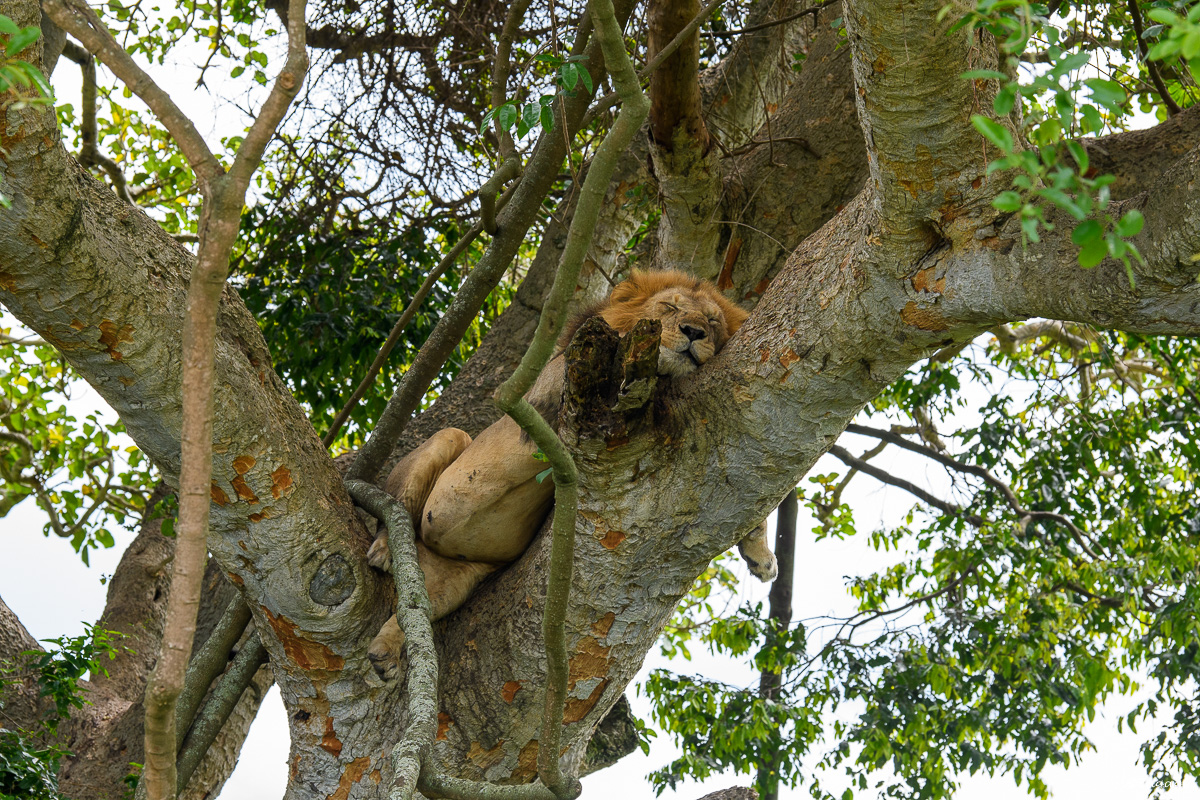 Uganda%201790.jpg