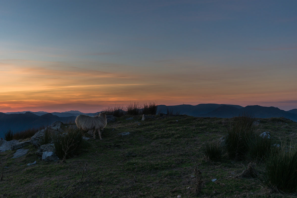 GR10_2016_10_0961_PS_1200Px.jpg