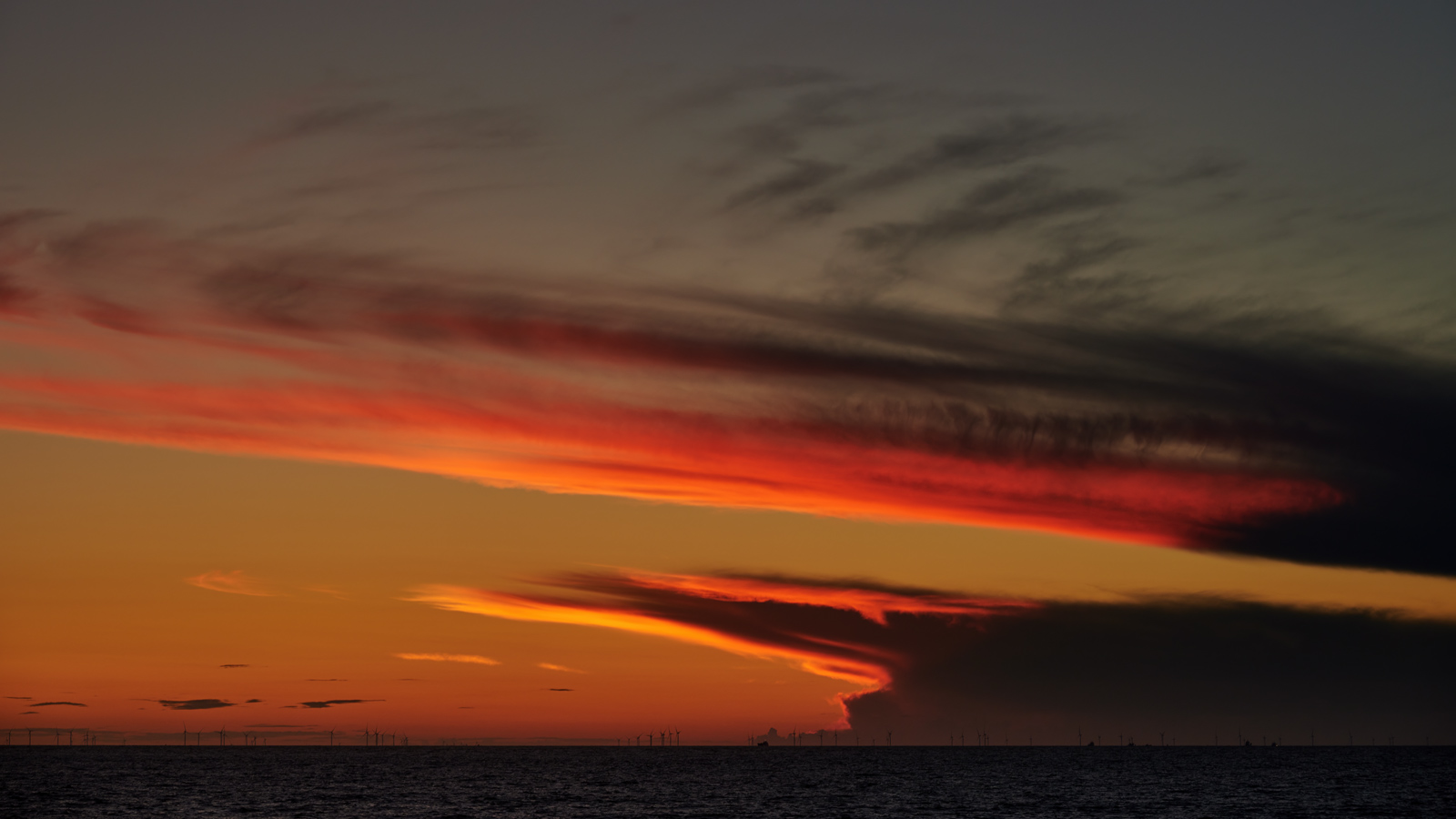 DSC_3294.jpg