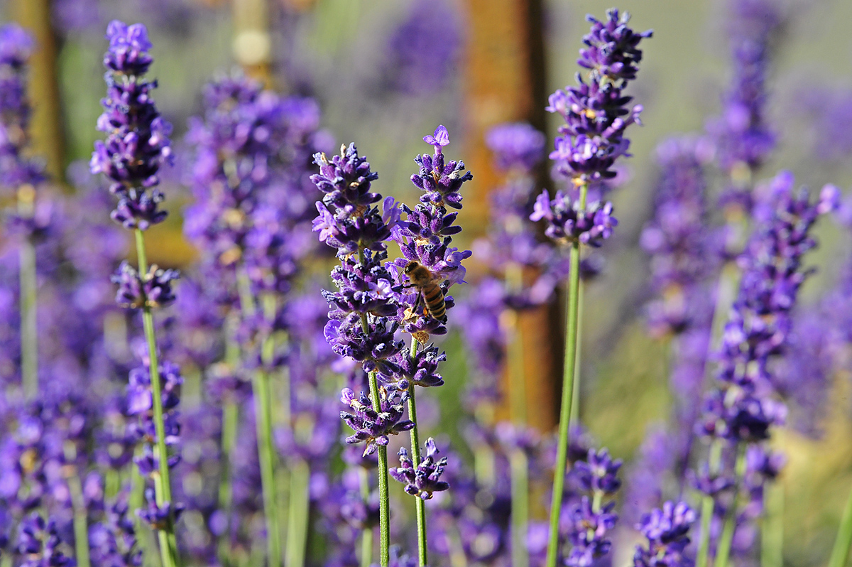 full