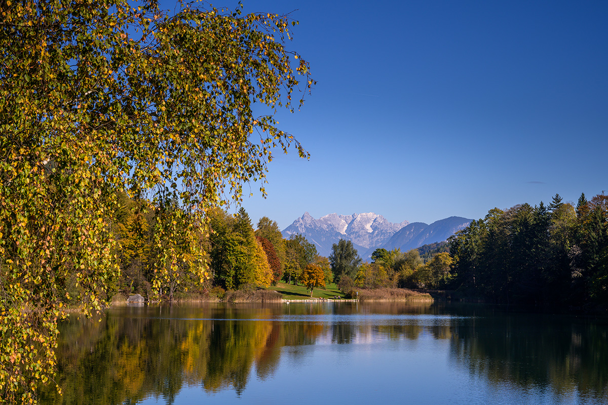 20211018_NZ7_1452NF.jpg