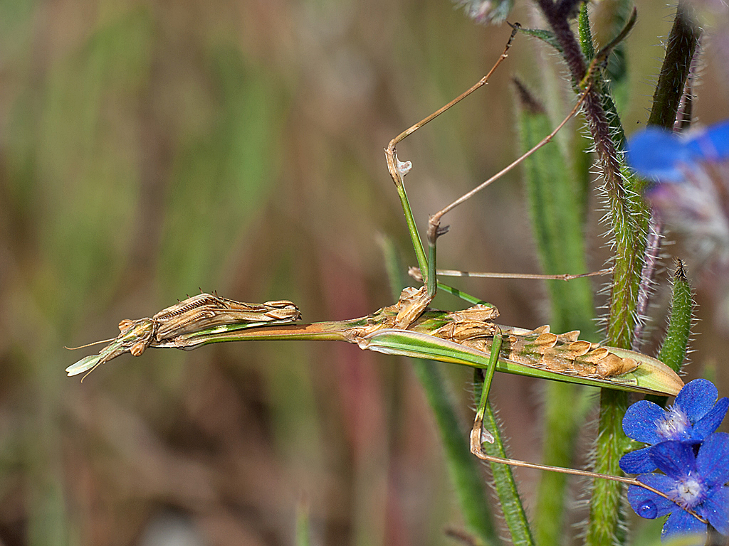 DSC_7791.jpg