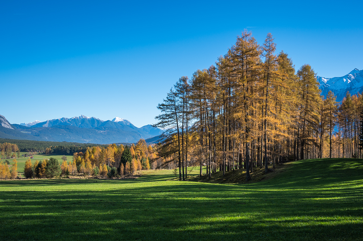 20221113_NZ6_0757NF.jpg