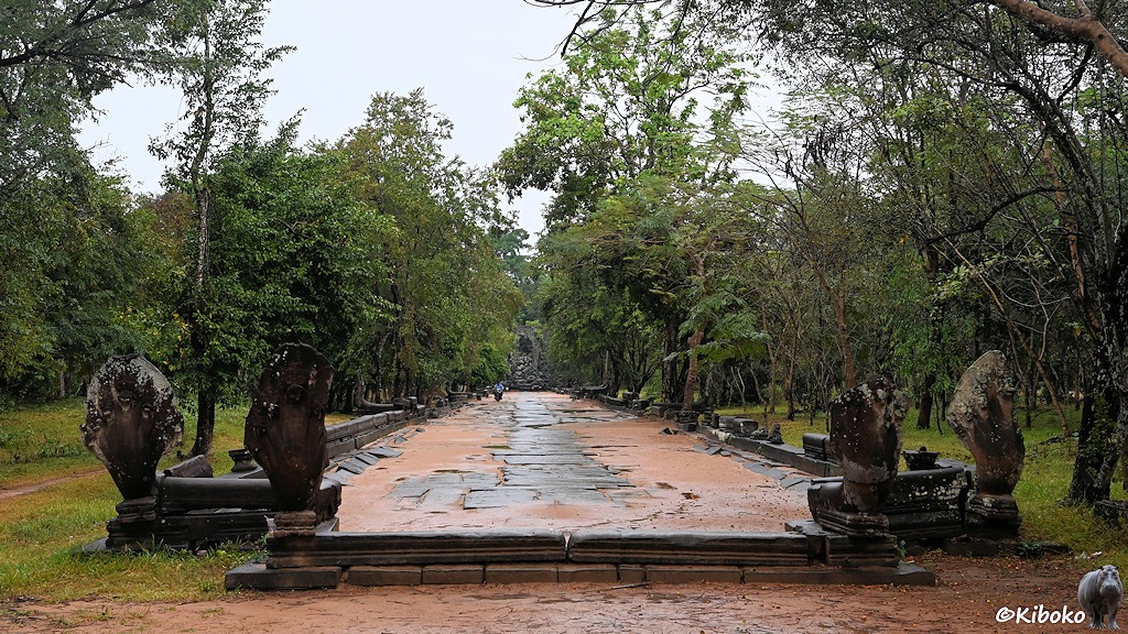 Das Bild zeigt einen geraden Weg aus rötlichem Sand auf einen Tempel. In der Wegmitte liegen Platten aus Sandstein. Eine Stufe wird durch vier aufgerichtete Schlangenköpfe bewacht. Der folgende Weg hat eine Geländer aus den Schlnagenkörpfern.