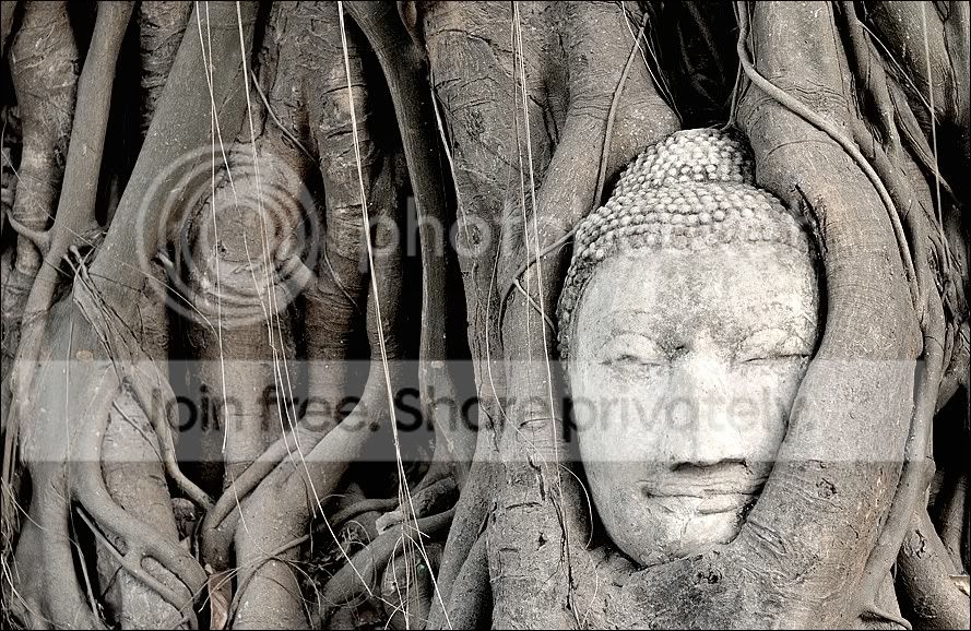 x-compAyutSW2rahmen.jpg