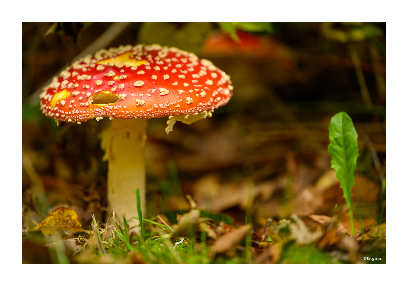 DSC_9205.jpg