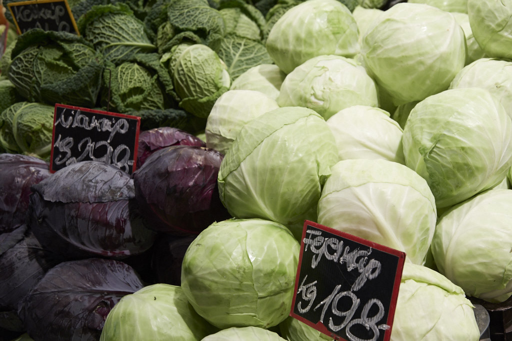 5H0_0329.jpg