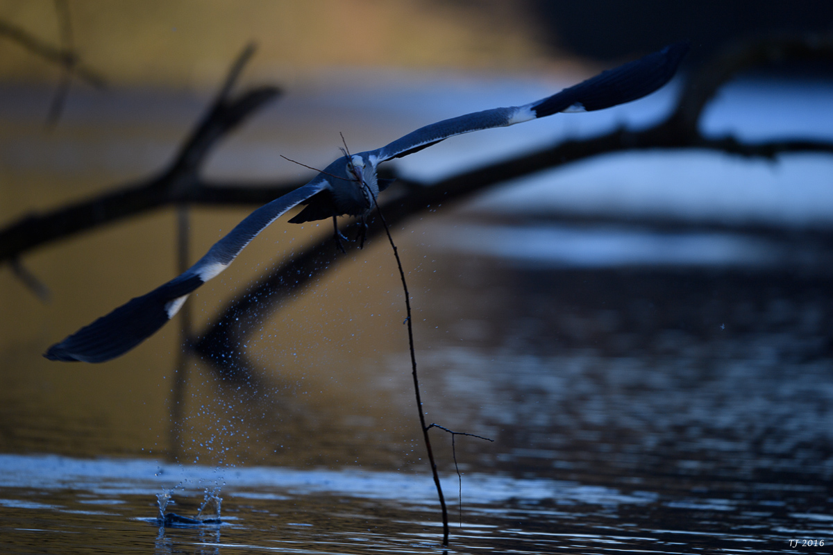 DSC_0285.jpg