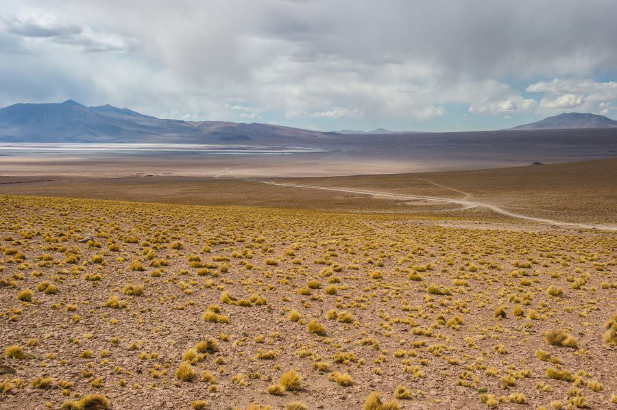atacama16_029.jpg