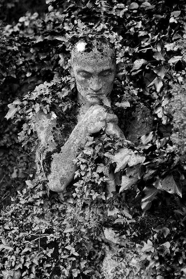 friedhof-regen-22.jpg