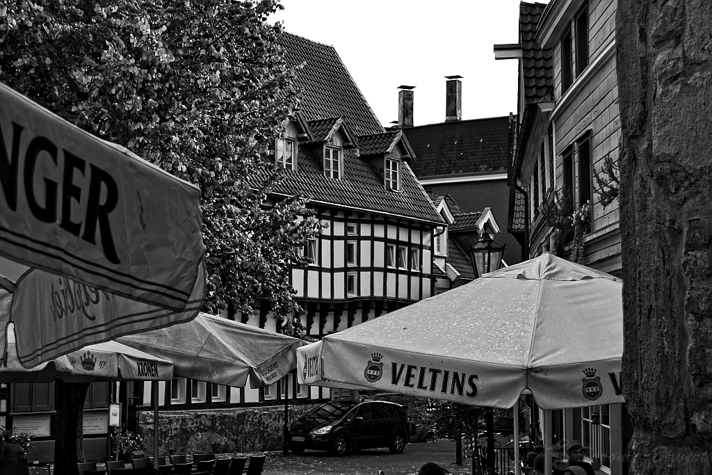 15005270877_5d263f6b29_b.jpg