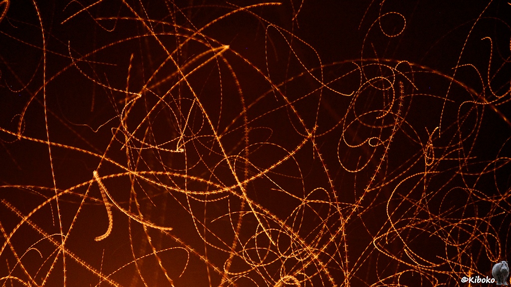 Gelbe, gestrichelte Kringelspuren in der Nacht.