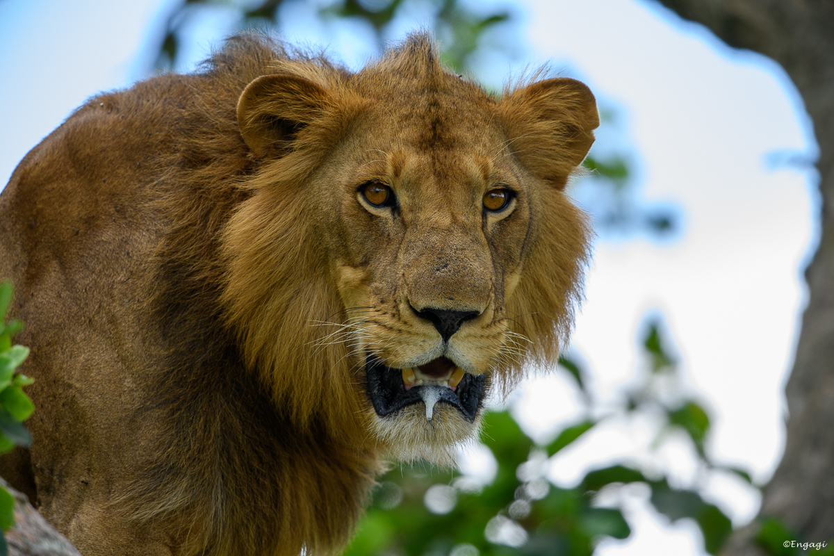 Uganda%201573.jpg