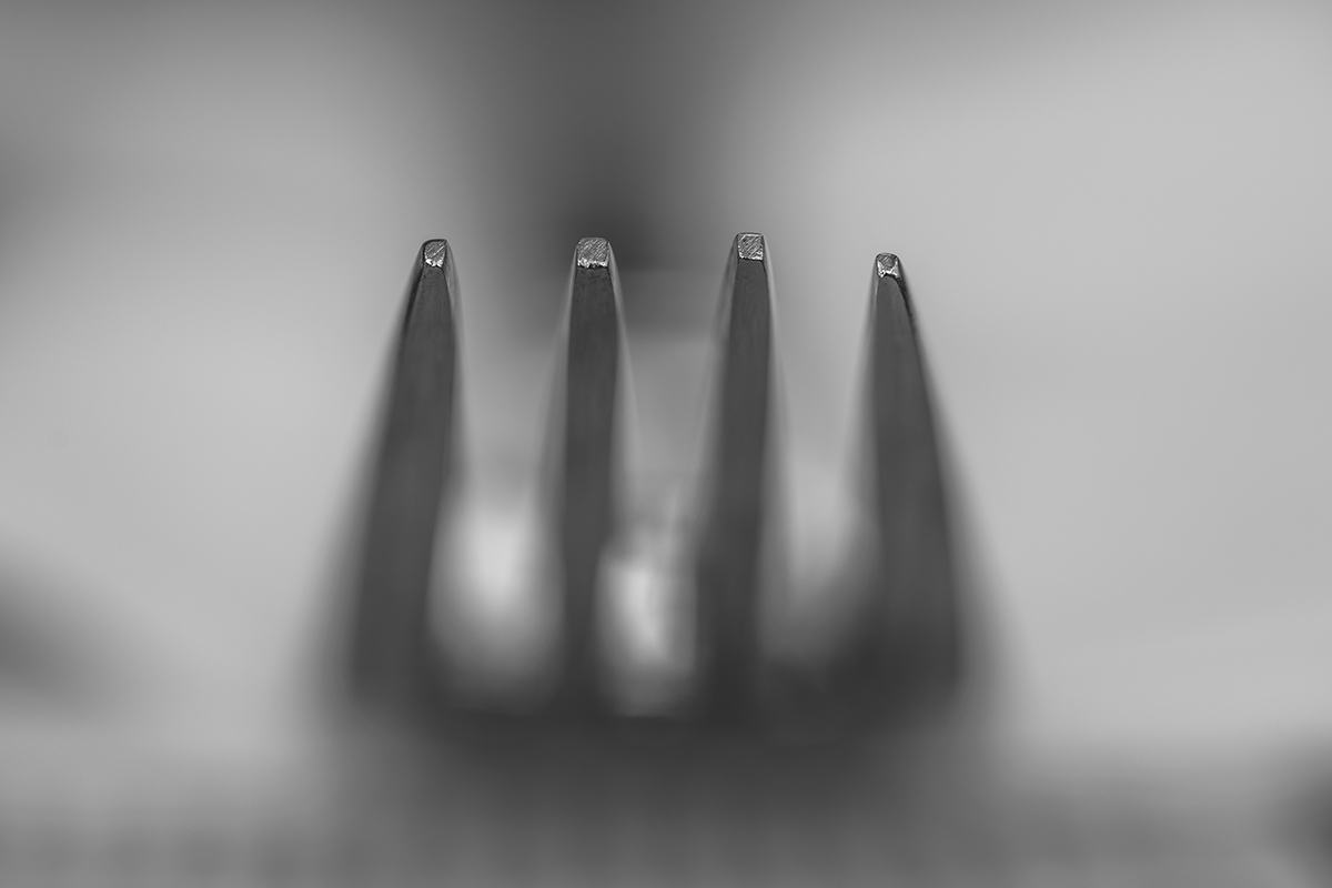 20210628_NZ7_3230swNF.jpg