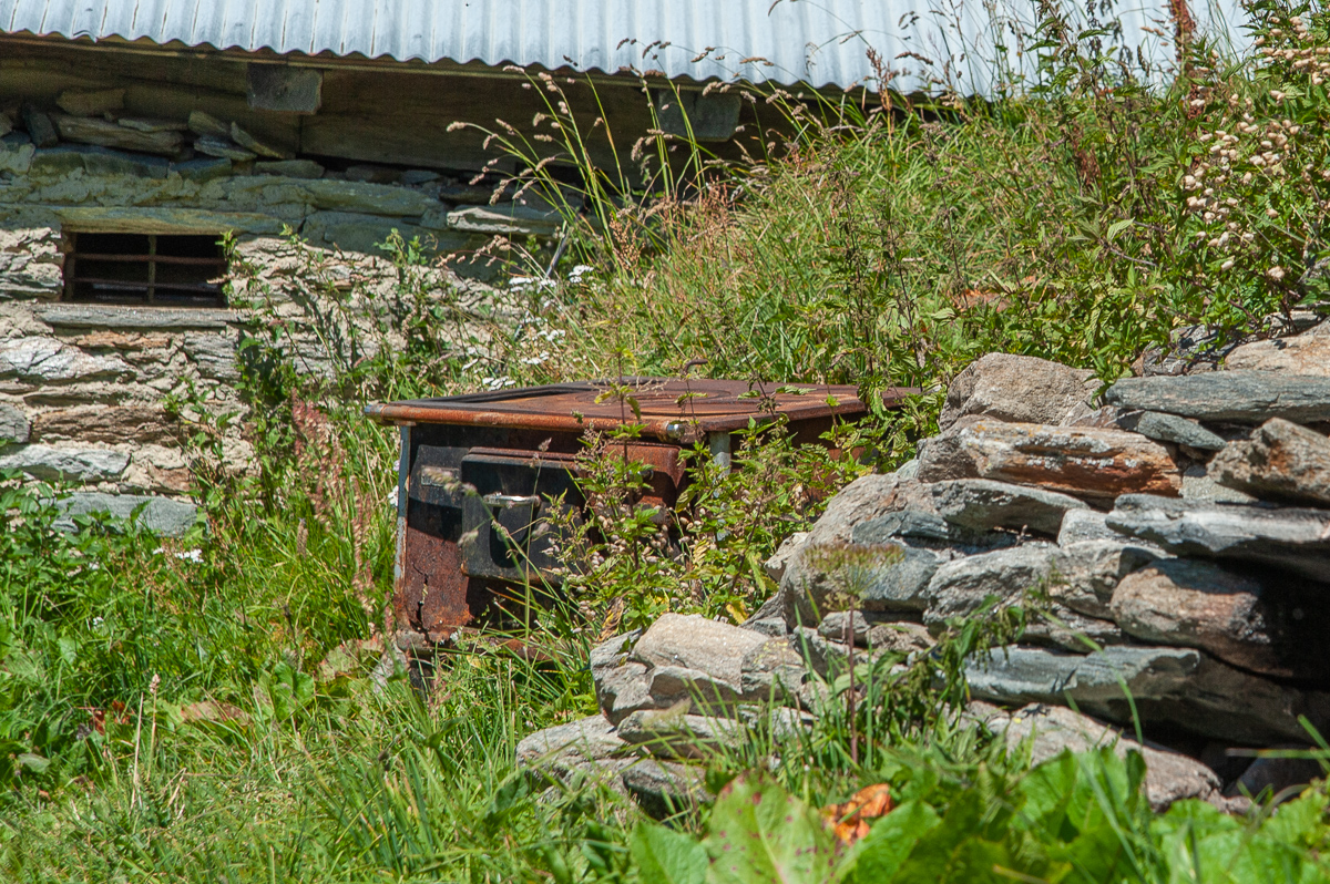 _DSC2025.jpg