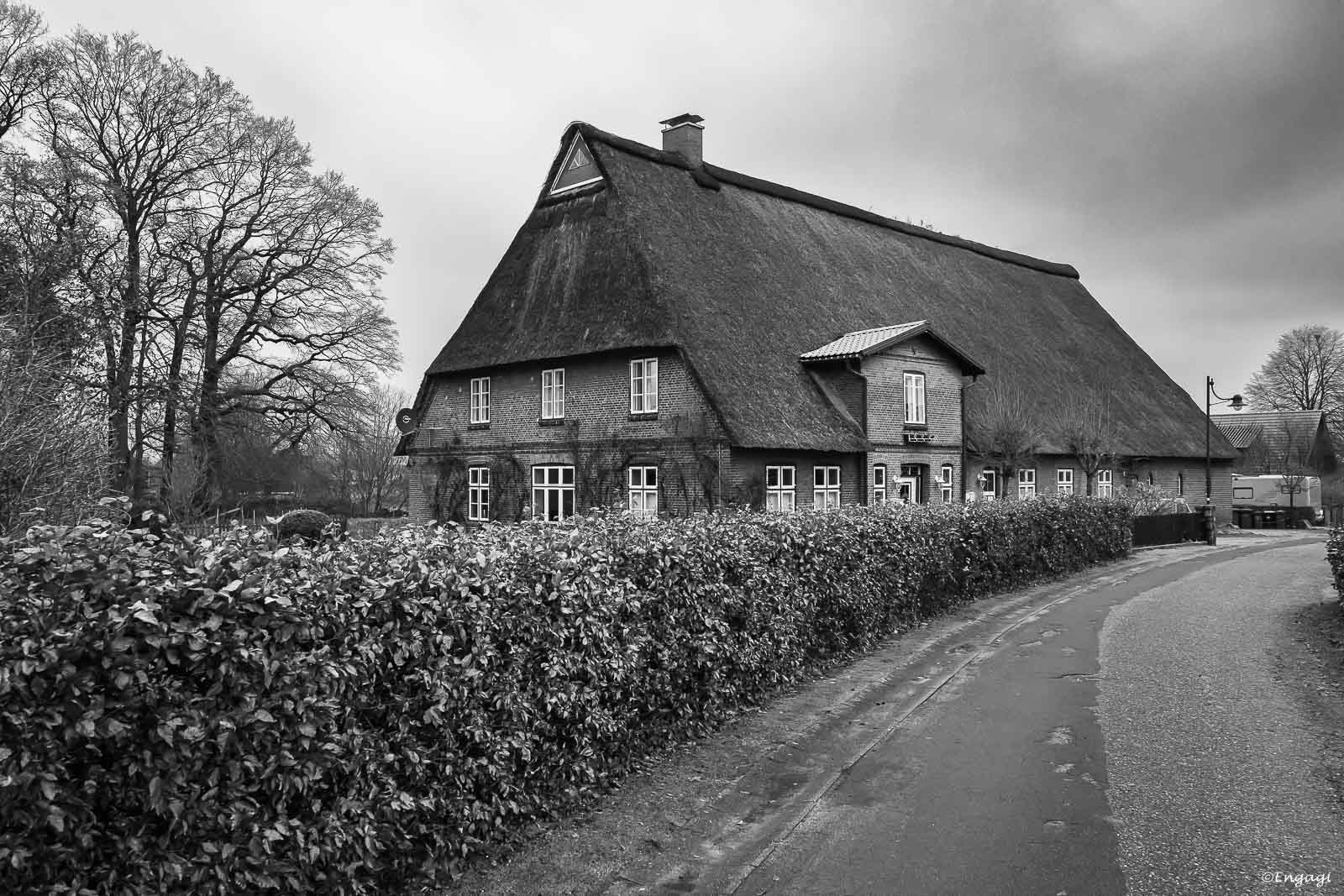 DSC_5763.jpg