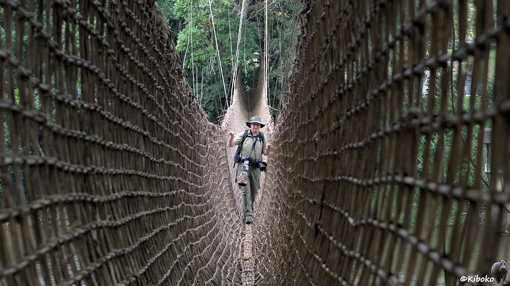 Das Bild zeigt einen Mann mit großen Fotoaparaten auf einer schmalen Fußgängerbrücke. Auf dem fußbreiten Boden sind mehrere parallele Seile. An den Seiten reicht ein Gitter aus Lianen bis zur Kopfhöhe.