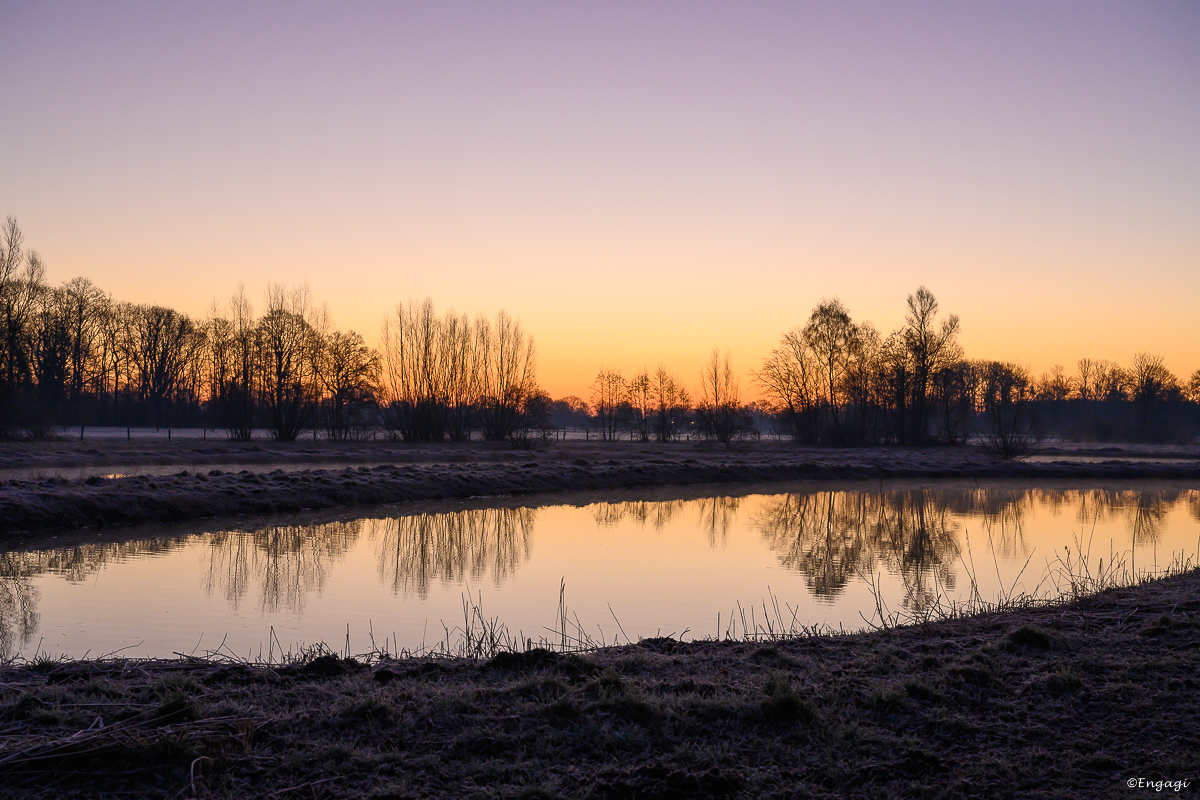 DSC_4106.jpg