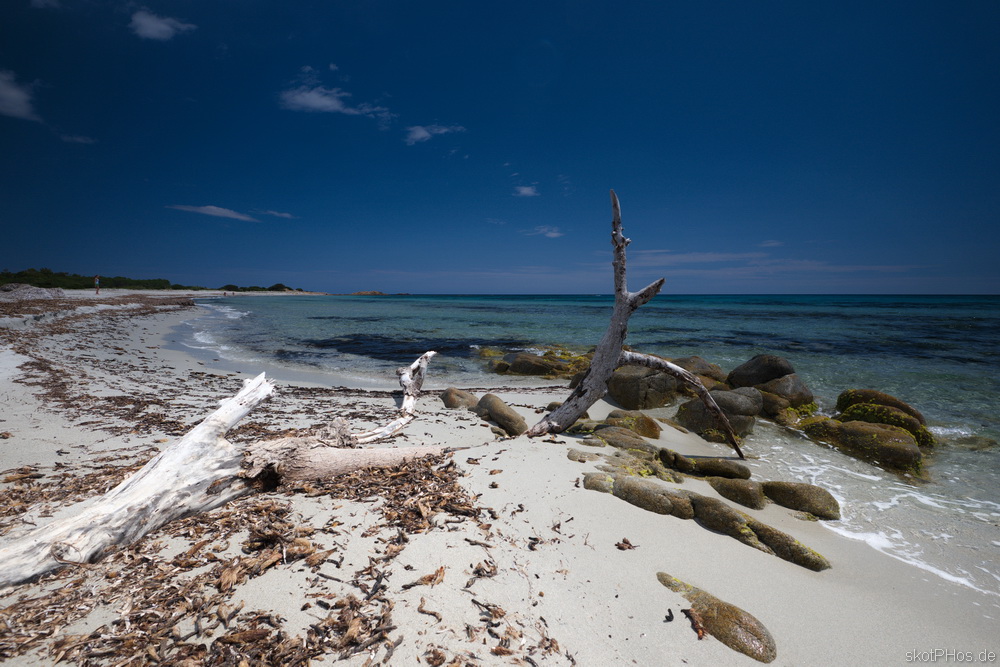 skotPHos.de_Sardinien2015_015.JPG