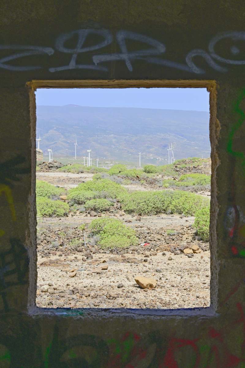 _U022496-800x1200.jpeg