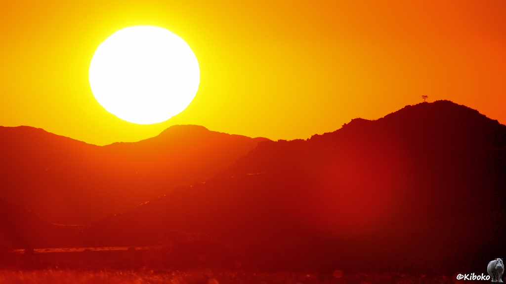 Die Sonne steht tief über ein paar dunkelrot gefärbte Hügel. Der Himmel wird geln bis orange.