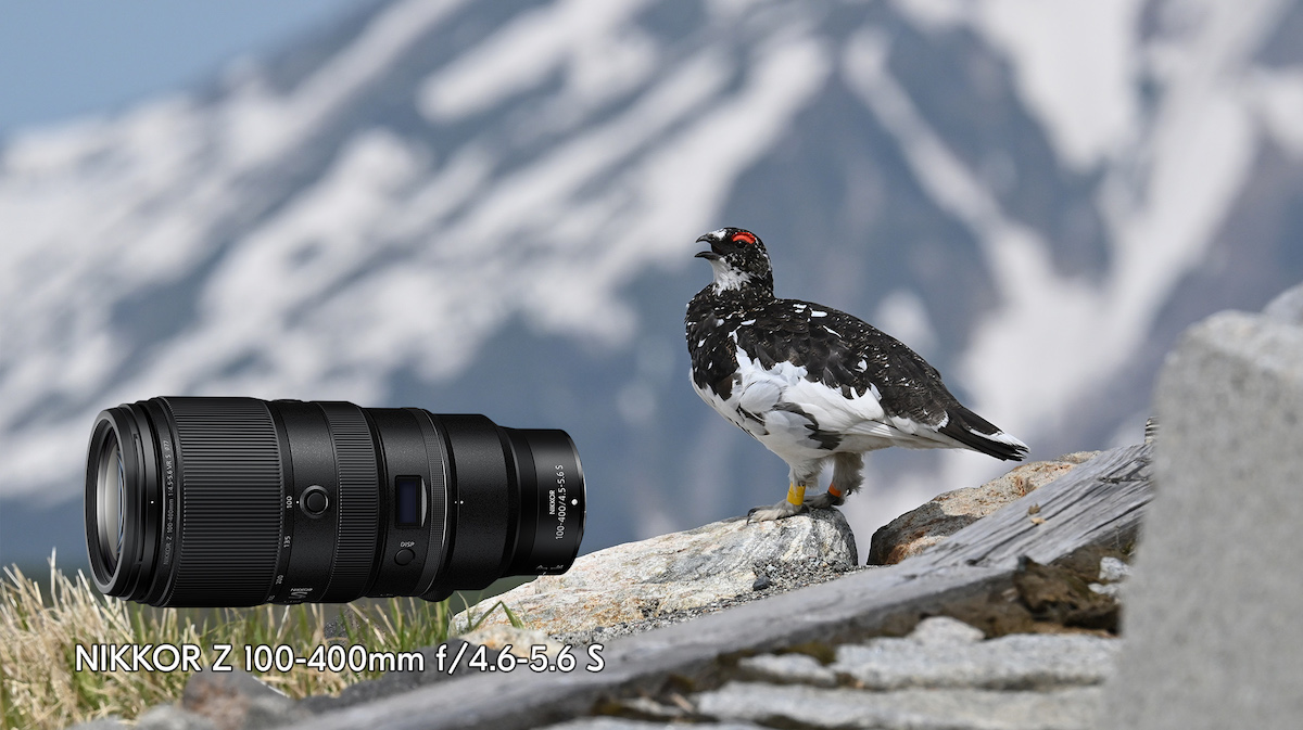 nikonrumors.com