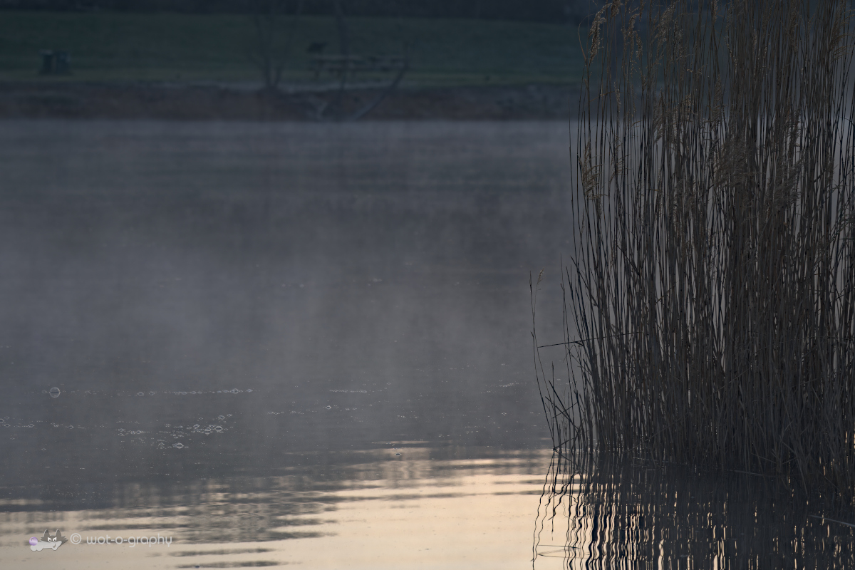 _U020066-1200x800.jpeg