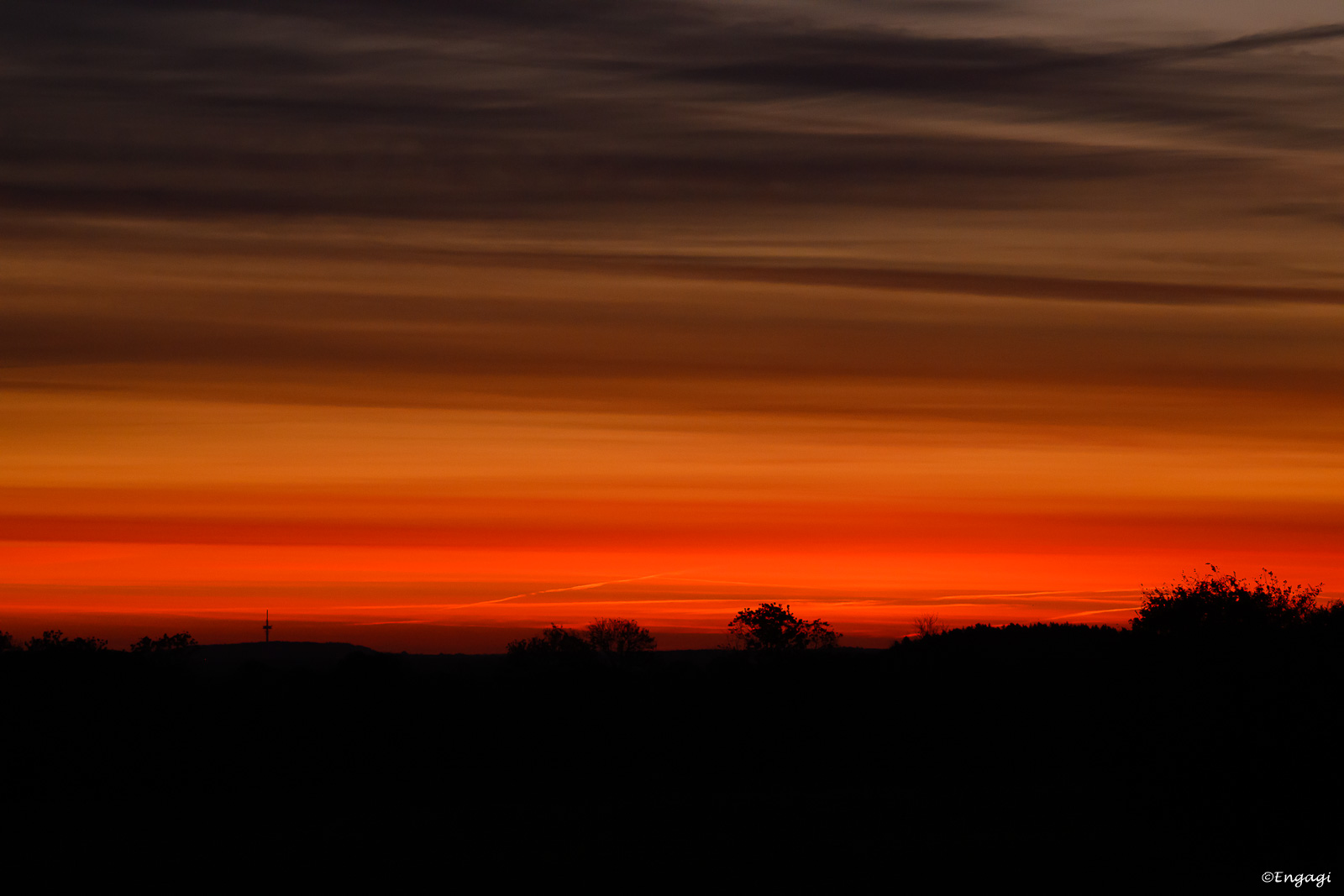 DSC_0657.jpg