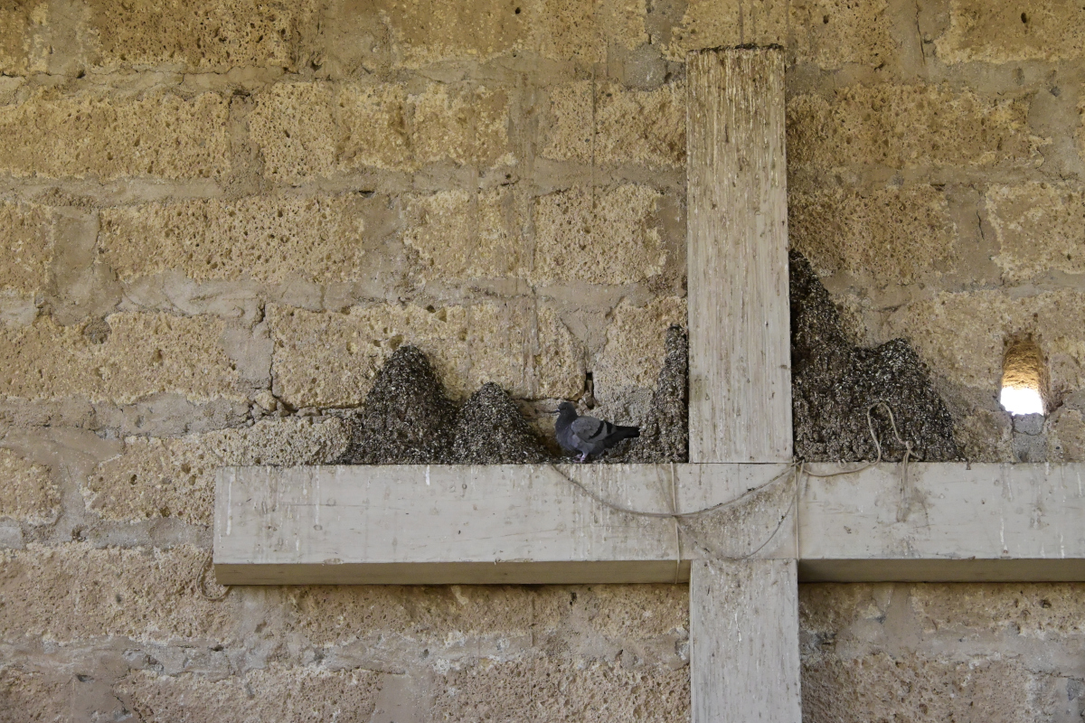 _U022491-1200x800.jpeg
