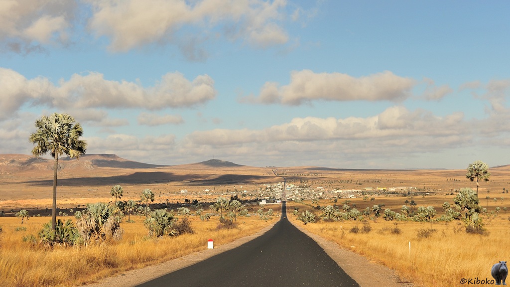Das Bild zeigt eine gerade Teerstraße die durch ein Tal aus trockenem Gras führt. Neben der Straße stehen vereinzelt Palmen. Im Hintergrund fürht die Straße durch eine Ortschaft mit weißen Häusern. Dahinter steigt die Straße auf einen weite Erhebung.