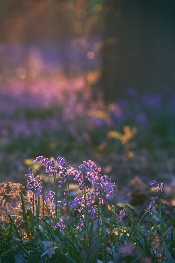 A7_05902_c1.jpg